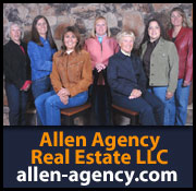Allen Agency Real Estate