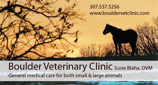Boulder Vet Clinic
