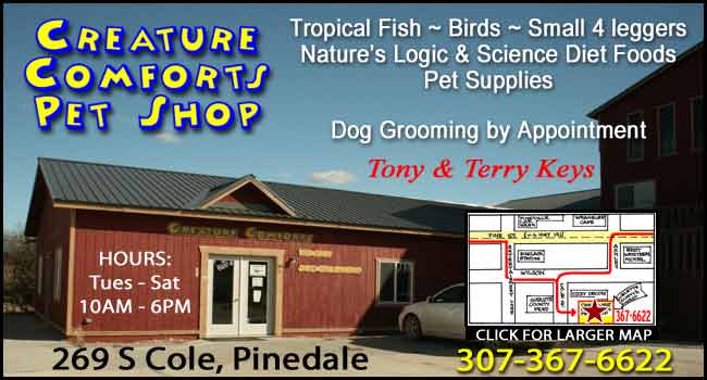 Creature Comforts Pet Shop in Pinedale. We have tropical fish, birds, small 4 leggers, Nature's Logic & Science Diet Foods and Pet Supplies. We do dog grooming by appointment! Tony and Terry Keys. See us at 269  S Cole in Pinedale (between Cozy Decor and the old Nocora building).