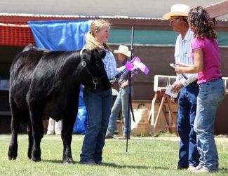 Courtney receives Grand Champion Ribbon from Charles Price and Cassy Johnston for her Born & Bred in Sublette County Heifer.