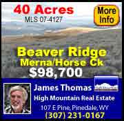See James Thomas at High Mountain Real Estate for more information about this property.