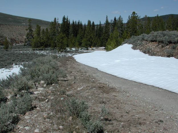 Snowbank at Whiskey Grove. Photo by Pinedale Online.