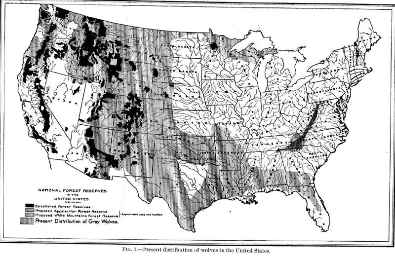 U.S. Wolf Distribution. Photo by Vernon Bailey, Biological Survey.