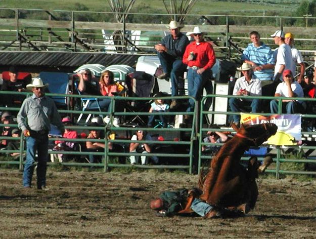 Bareback Horse Down. Photo by Pinedale Online.