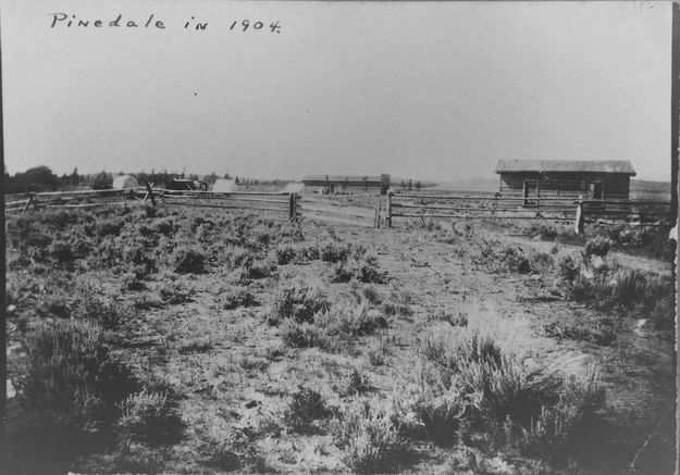 Pinedale in 1904. Photo by Sublette County Historical Society / Museum of the Mountain Man.
