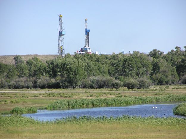 Swans and drill rigs. Photo by Pinedale Online.