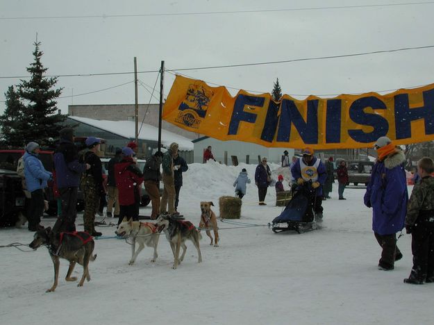 Sled Dog Race. Photo by Clint Gilchrist, Pinedale Online.