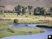 Fishing the New Fork River. Photo by Dawn Ballou, Pinedale Online.