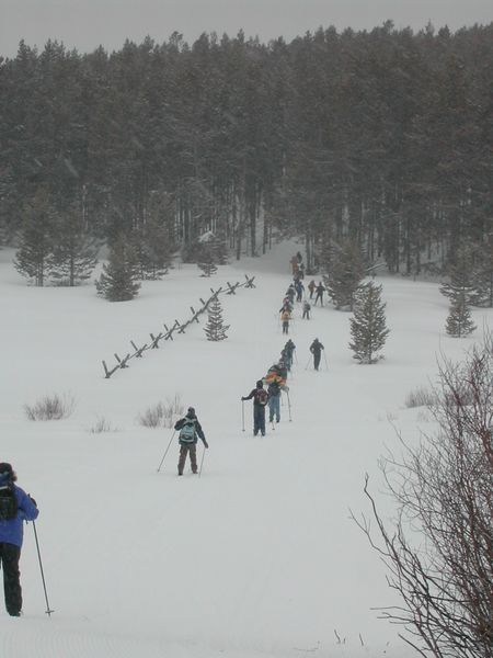 X-C Skiing. Photo by Rita Hudlow.