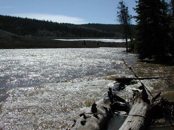 The Green is high with runoff. Photo by Pinedale Online.