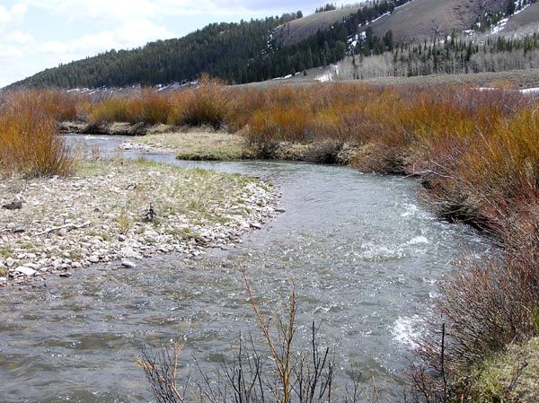 South Cottonwood Creek. Photo by Pinedale Online.