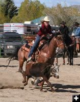 Lady Team Roper. Photo by Pinedale Online.