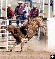 Bull Rider - Jake Greenwood. Photo by Clint Gilchrist, Pinedale Online.