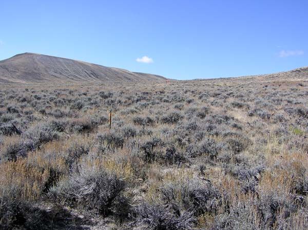 Proposed new well site. Photo by Pinedale Online.