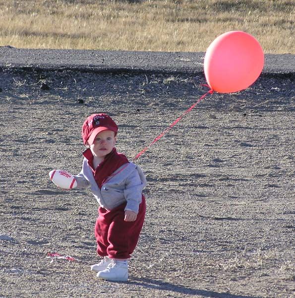 Little Puncher. Photo by Dawn Ballou, Pinedale Online.