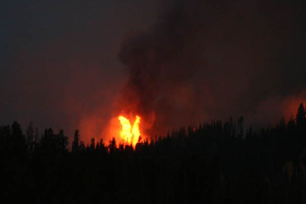 Torching trees. Photo by Clint Gilchrist, Pinedale Online.