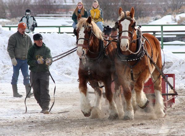 Frozen Tundra Team Pull. Photo by Clint Gilchrist, Pinedale Online.