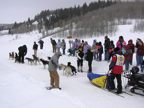 Pinedale Sled Dog Race. Photo by Dawn Ballou, Pinedale Online.