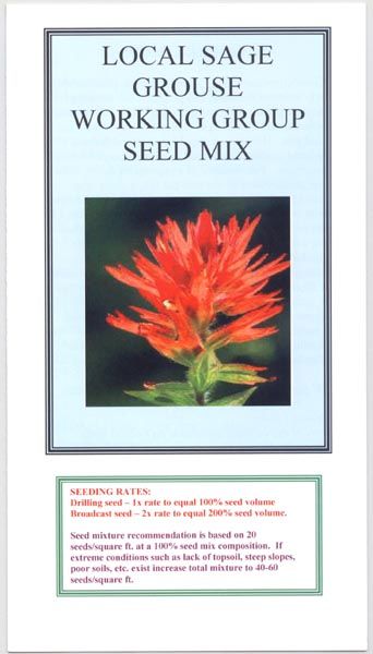 New Sage Grouse Seed Brochure. Photo by .