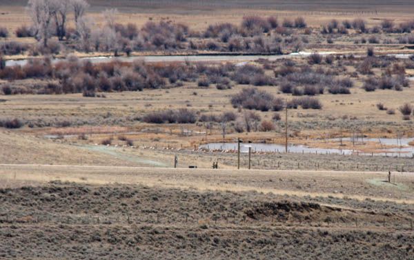 Following the rightofway fence. Photo by Clint Gilchrist, Pinedale Online.