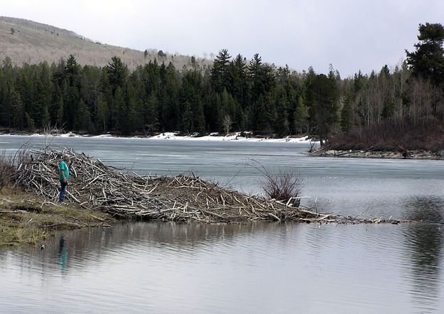 Renovated Beaver Lodge. Photo by Pinedale Online.