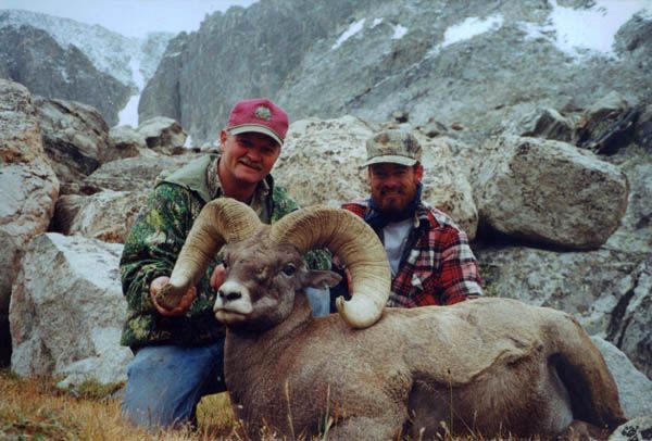 Trophy Sheep. Photo by Black Diamond Outfitting.