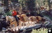 Pack String. Photo by Bridger Wilderness Outfitters.