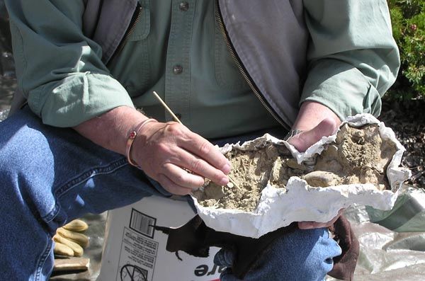 Cleaning bison bone. Photo by Dawn Ballou, Pinedale Online.