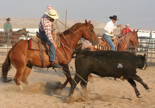 Heeling. Photo by Clint Gilchrist, Pinedale Online.