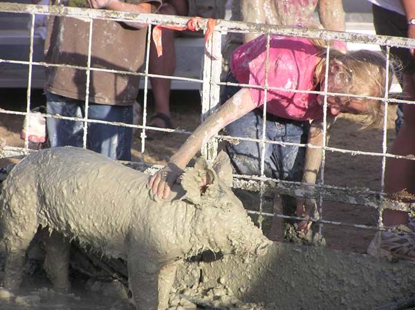 Petting the muddy pig. Photo by Dawn Ballou, Pinedale Online.