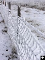 Frosty fence. Photo by Dawn Ballou, Pinedale Online.