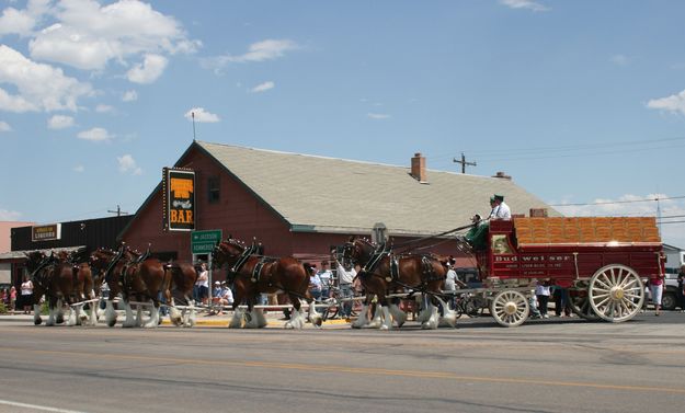 Clydesdales at the Silver Spur. Photo by Dawn Ballou, Pinedale Online.