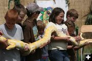 Big Snake. Photo by Dawn Ballou, Pinedale Online.