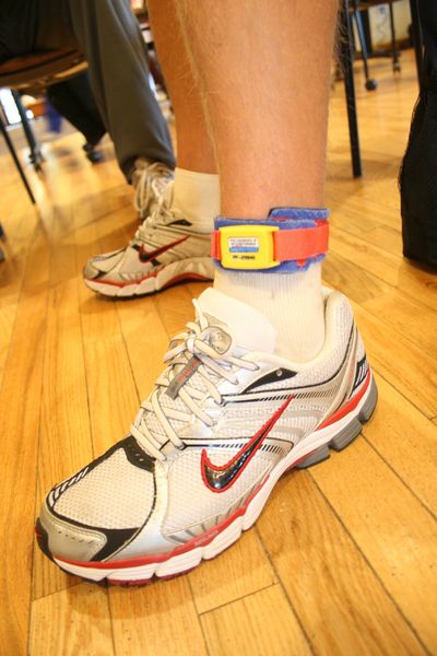 Ankle Bands. Photo by Pam McCulloch.