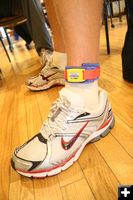 Ankle Bands. Photo by Pam McCulloch.