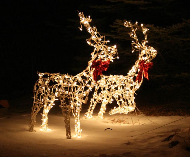 Deer Lights. Photo by Dawn Ballou, Pinedale Online.