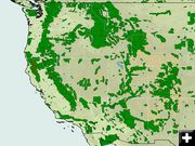 Area Wildfires - August 1 2008. Photo by MODIS Rapid Response.