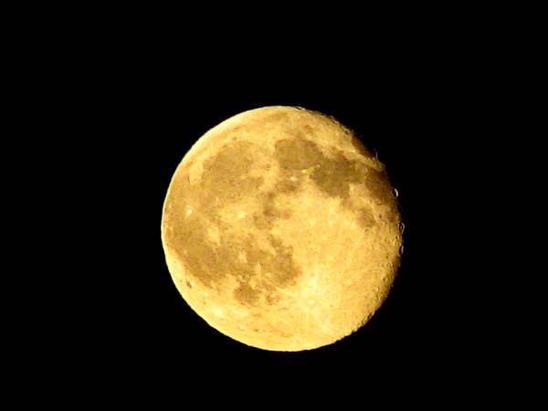 Full Moon. Photo by Karen Rozzell.
