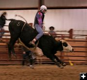 Bull Ride 21. Photo by Carie Whitman.