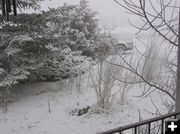 Snow in Pinedale. Photo by Bob Rule, KPIN 101.1 FM Radio.