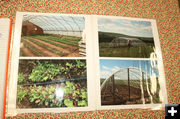 Greenhouses. Photo by Dawn Ballou, Pinedale Online.