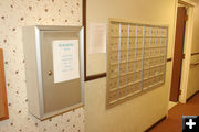 Mailboxes. Photo by Dawn Ballou, Pinedale Online.