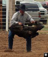 Calf Roping. Photo by Clint Gilchrist, Pinedale Online.