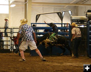Out of the chute. Photo by Dawn Ballou, Pinedale Online.