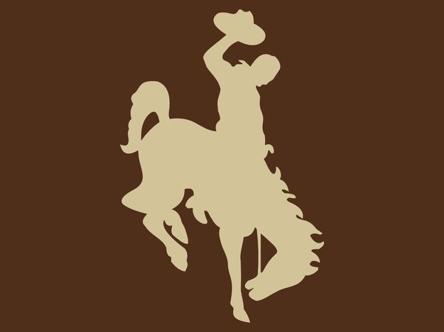 Wyoming Cowboys. Photo by Wyoming Cowboys.