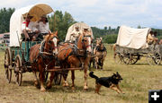 Wagons. Photo by Clint Gilchrist, Pinedale Online.