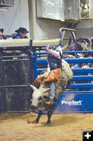 When the rodeo comes to town. Photo by Kathy Carlson, Sublette Examiner.
