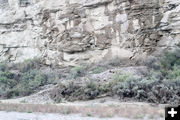 Muddy rocks. Photo by Dawn Ballou, Pinedale Online.