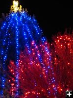 Holiday lights. Photo by Dawn Ballou, Pinedale Online.