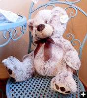 Teddy Bear. Photo by Dawn Ballou, Pinedale Online.
